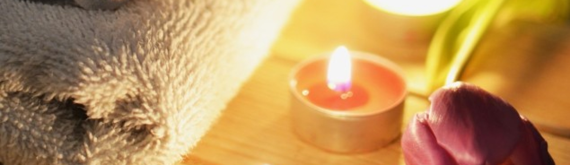 Terapeuta Holístico: A Crítica às Formações Fast Food