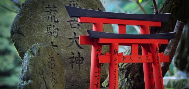 Morte e a Vida: Reavaliar Prioridades