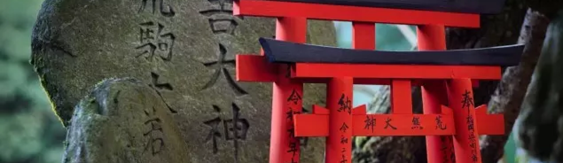 Morte e a Vida: Reavaliar Prioridades