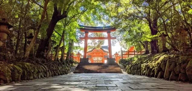 O Futuro do Reiki: Entre a Terapia e a Filosofia