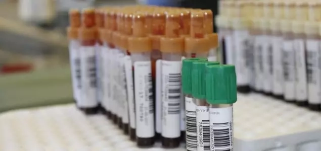 Cura Autêntica: O Impacto da Terapia