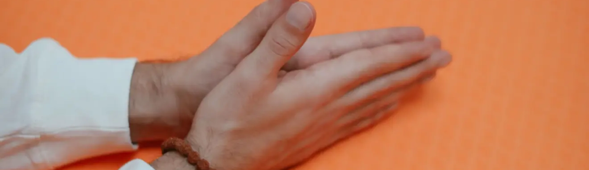 A Proliferação das Linhagens de Reiki: A Importância do Regresso à Raiz de Mikao Usui