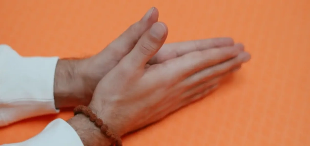 A Proliferação das Linhagens de Reiki: A Importância do Regresso à Raiz de Mikao Usui