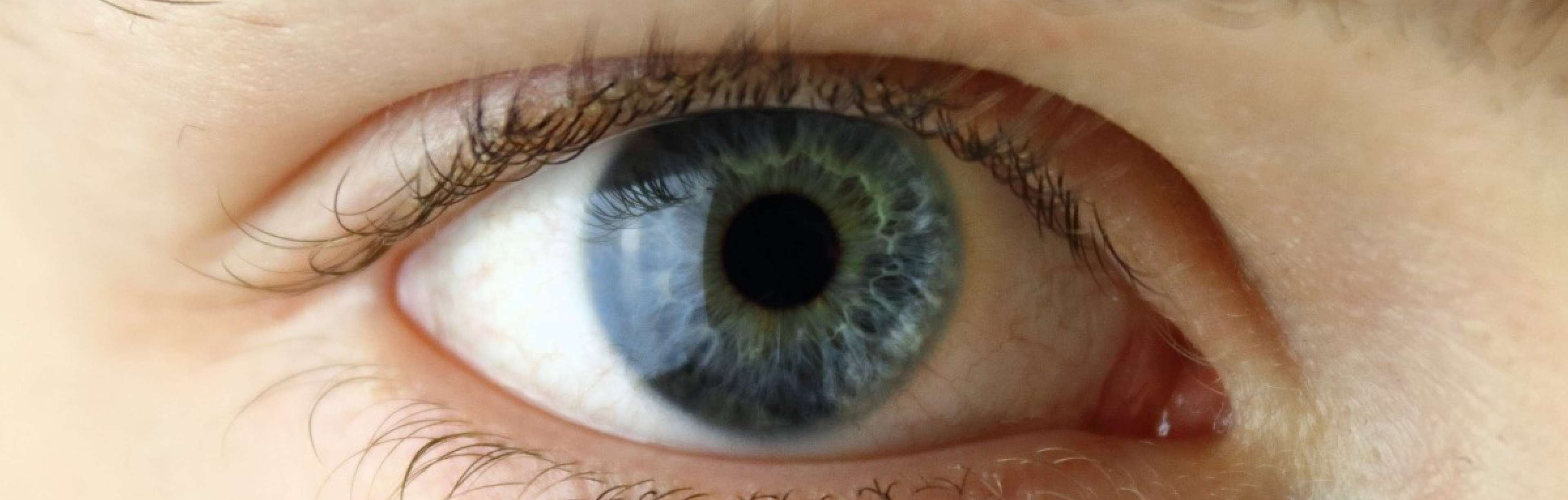 Dynamic Content Image