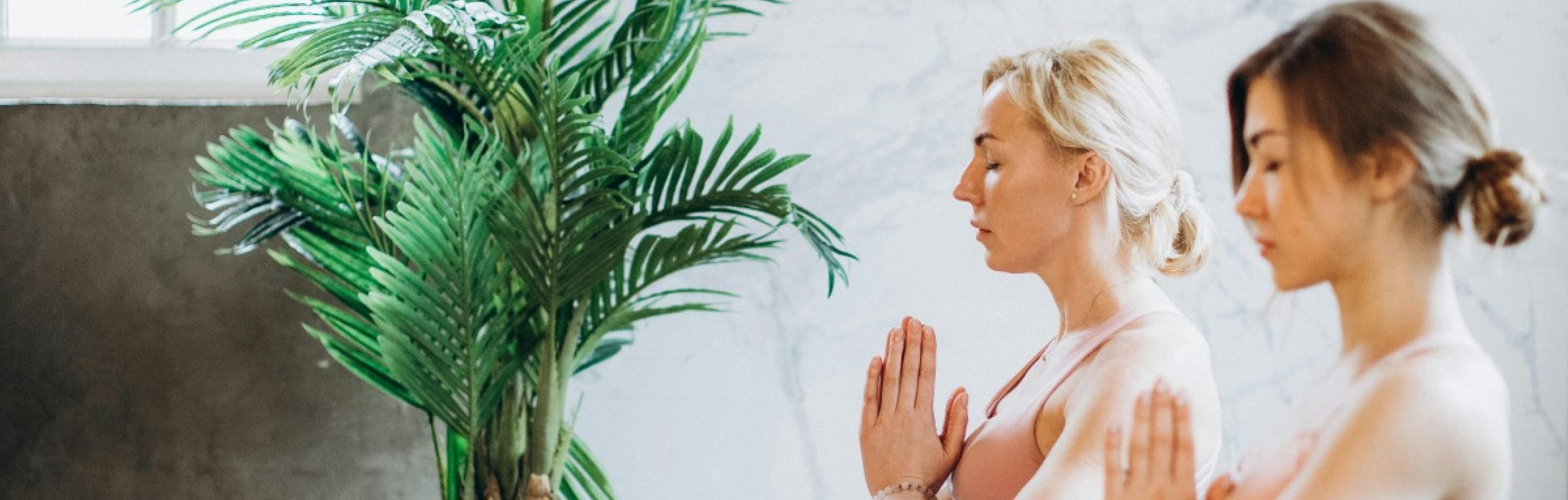 Dynamic Content Image