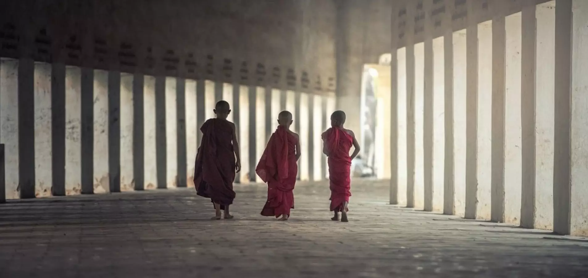 Linhagens de Reiki Essencial da APRE