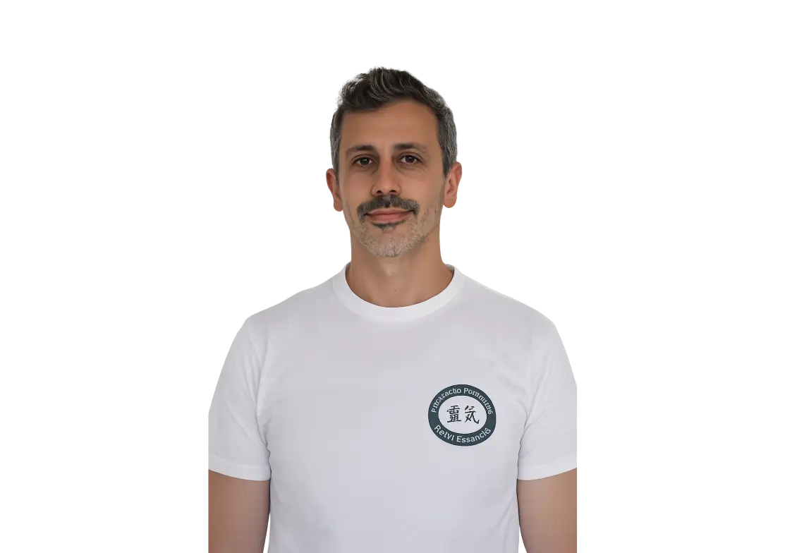 Pedro Sousa